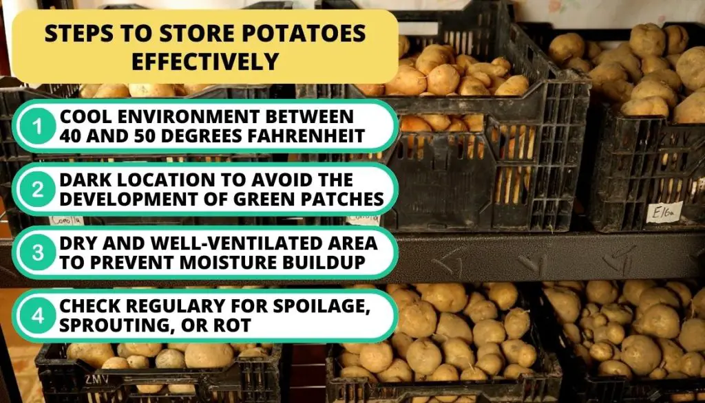 How To Store Your Potatoes After Harvesting
