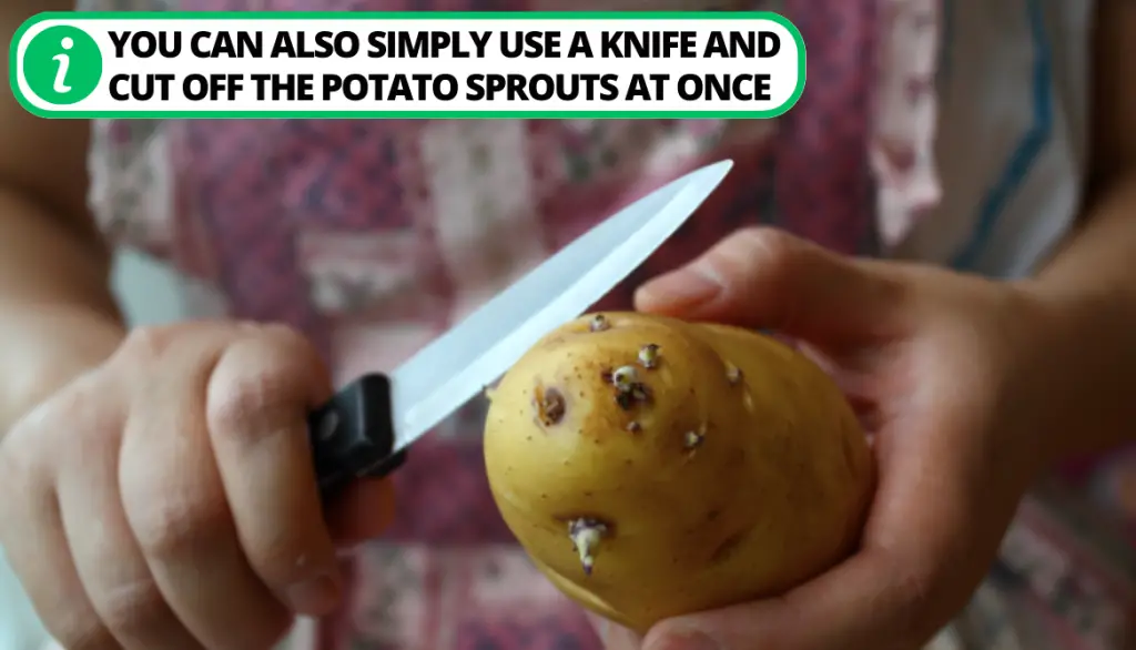 How to Make Sprouted Potatoes Safe to Eat