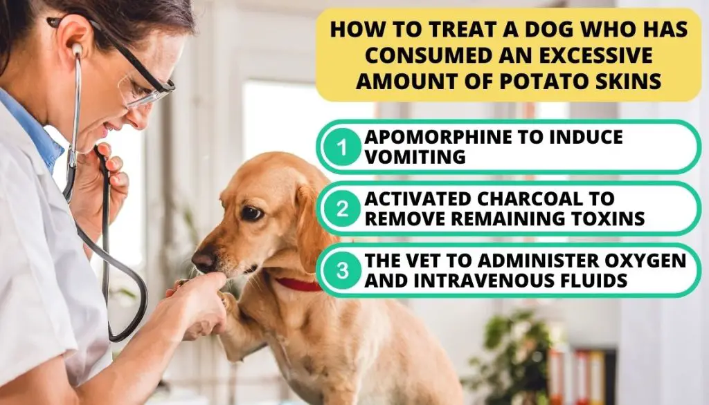How to Treat a Dog Who Has Consumed an Excessive Amount of Potato Skins