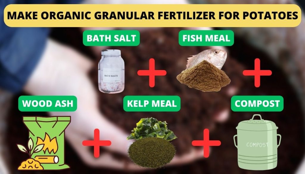 Make Organic Granular Fertilizer For Potatoes