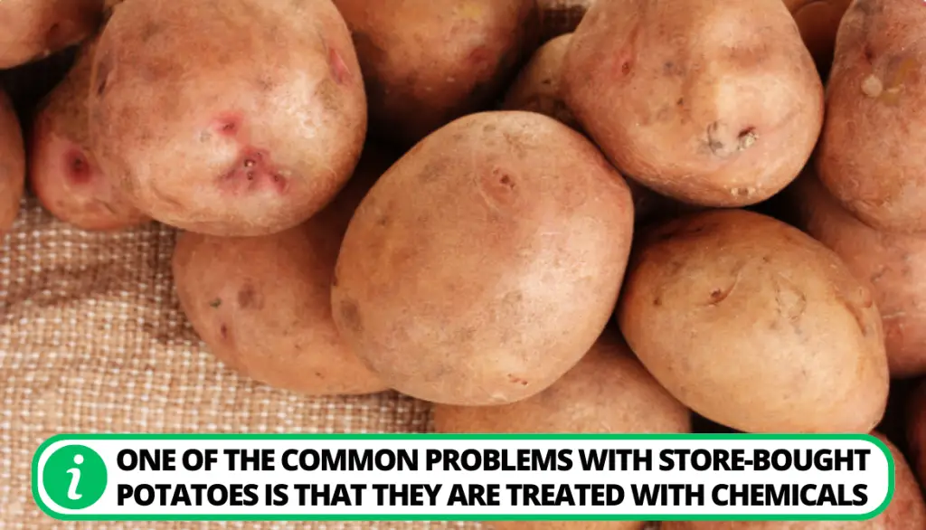 Overcoming Issues with Store-Bought Potatoes