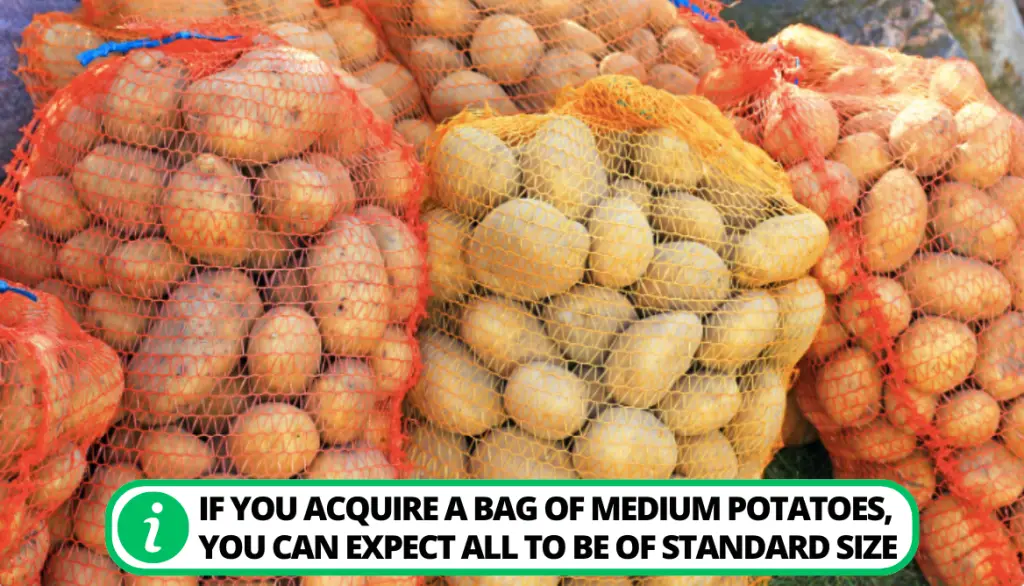 Potato Measurement and Weighing: 3 Useful Tips