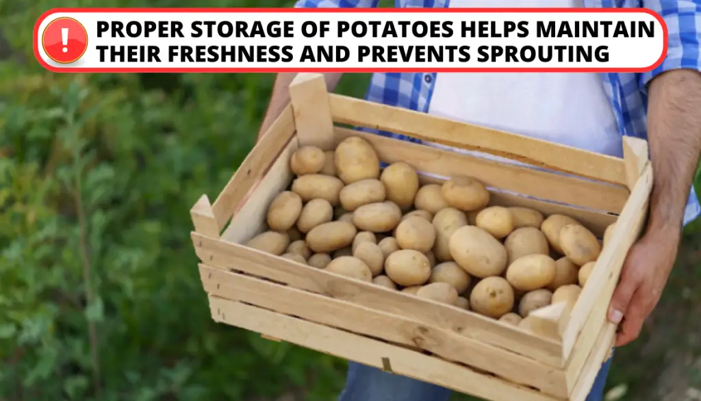 Tips For Buying Maris Piper Potatoes