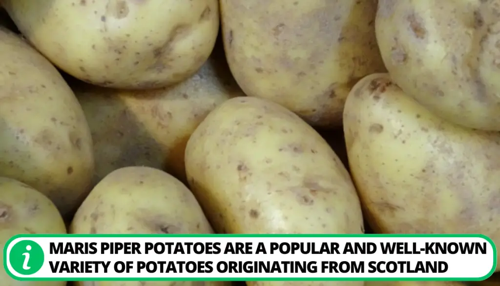 What Are Maris Piper Potatoes?