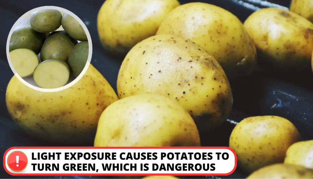 What Makes Your Potatoes Green
